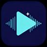 cleanvideoaudio.com logo