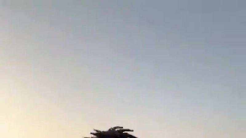 Gas Station Dance AI Generator screenshot