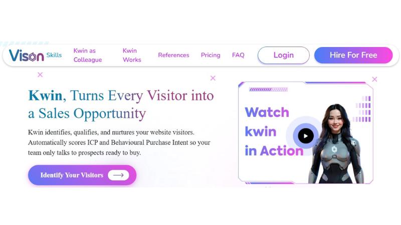 Vison AI application interface and features